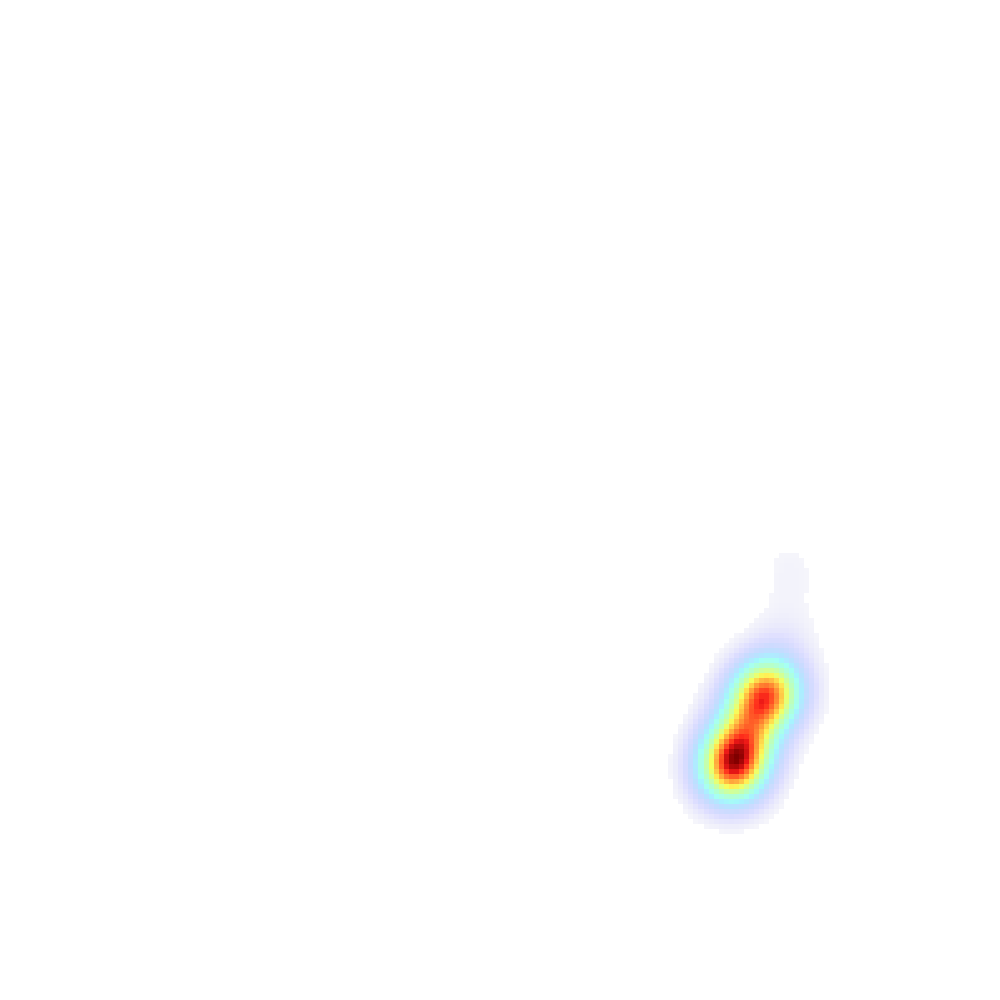 Striped marlin species heatmap overlay from the static KML prototype